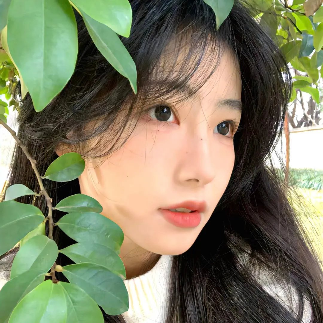追踪者